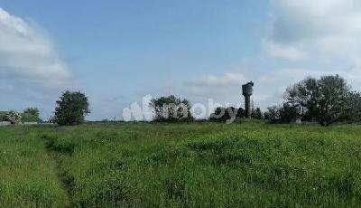 поселок Рыбное, ул Грибная , 58737185-4ed0-418e-ac15-6620063bc36c.jpeg