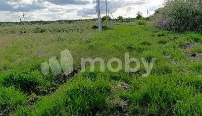 поселок Отважное,  , 5897f0c7-775b-4d30-9daf-c8ff3f2a9e1e.jpg