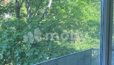 Фото: 58996f08-0e5d-4946-bbe2-ac94689570b5.jpg