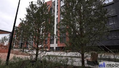 Малое Исаково посёлок, ул Первая д. 1 корп 3, 5a7bf286edba92731aea436e9c26aa6d