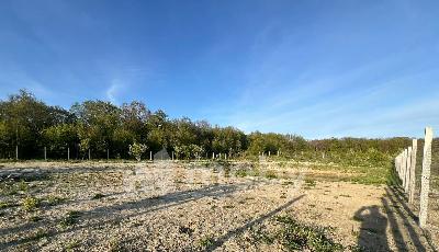 поселок Нивенское, ул Яблочная , 5cc20f73-0b95-4a6b-860d-c978b062d43b.jpg