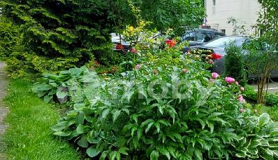 Калининград, ул Ю.Гагарина 2А, 5d17cfb9-70f1-4622-b3f1-81ee64ffe6da.jpg