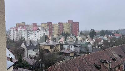 Фото: 5dd0211e-b5da-4b4d-8a50-747e9523b97b.jpg