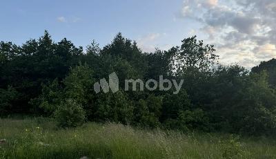 поселок Малое Васильково,  , 5fd86223-1e37-4e26-bcb7-edfd39bc259f.jpg