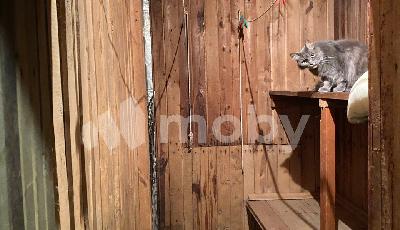 Шоссейное посёлок, ул Южная Мостовая 18, 60b08f29-0a61-424d-a699-f81ef1b99ab6.jpg