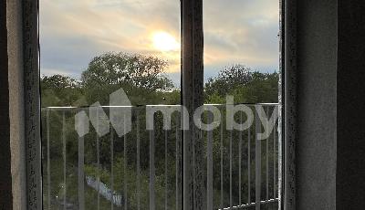 Фото: 63ed53e2-f119-4f42-aaa2-47279c2eab60.jpeg