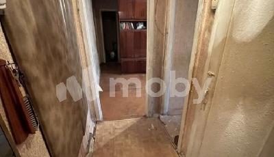 Фото: 65afae2e-ddd2-43ed-83dc-987b9d9c45a5.jpg