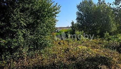 г Калининград, Садовый пр-д , 6739a1ed-86fb-4516-84f1-9853bee2de78.jpg