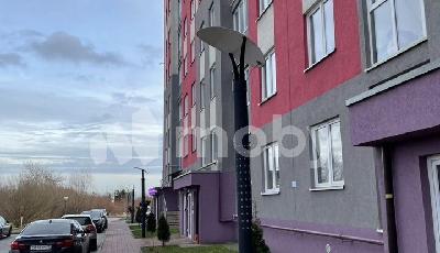 Фото: 716d1d96-6d1a-4ae0-bd3b-08c695efc3eb.jpg