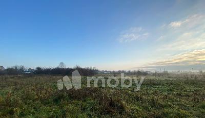 поселок Голубево,  , 719d1949-6221-4e60-b7e4-79e91607a229.jpg