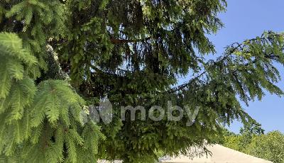 г Калининград, ул Камская 50, 725423ee-3c74-4dba-8389-91a45d6e1b88.jpg