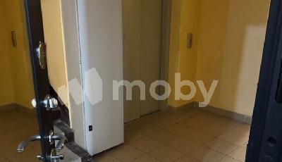 Фото: 734e4e01-e7dc-4319-849b-036196e362d9.jpg