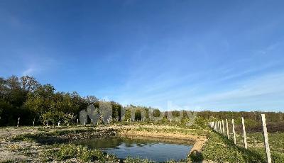 поселок Нивенское, ул Яблочная , 779e971b-2fd6-462b-8f4e-d5ba9b435bbd.jpg