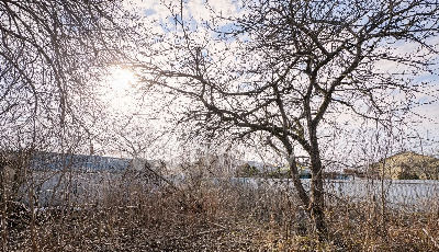 г Калининград,  , 7958bbf6-2041-4aaf-a464-695251c59a5f.png