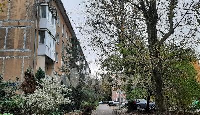 Фото: 7a07ad52-fb02-43f5-a76a-681a1b6e80f8.jpeg