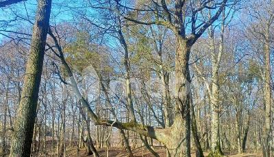 г Калининград, ул Луганская 54А, 7c164347-57e0-40e8-9ffd-4216f4cea300.jpg