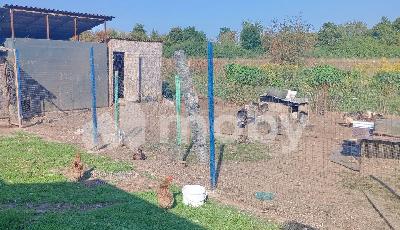 Раздольное посёлок,  1, 7c4df0f8-1e0f-44df-bd5b-d823be4d3ddb.jpg