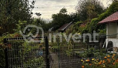 Фото: 7e681544-da52-41ef-8ba3-67e4cd6f7d8f.jpg
