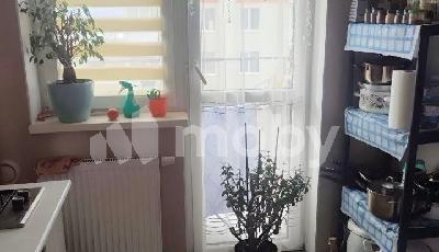 поселок Голубево, ул Изумрудная 6, 7f07624b-8298-45a5-982d-1606f56396fe.jpg