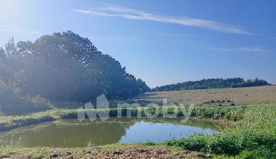 Раздольное посёлок,  1, 7f9bf70d-307b-415f-be4b-bf83bc6cabf8.jpg