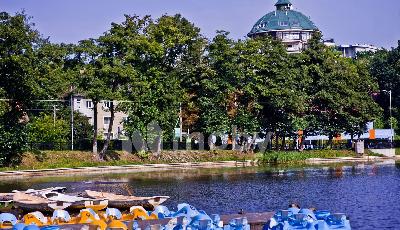 г Светлогорск, Калининградский проспект 71А, 80a8e464-92ae-4da9-a038-fe9d0a33225a.jpg