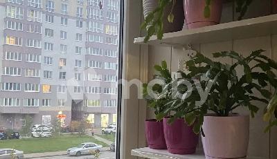 г Калининград, ул В.Денисова 22, 80d22531-c7f0-4e26-af17-ba803778e72c.jpg