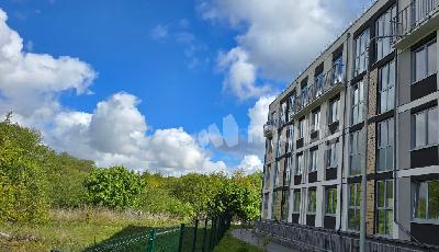 Фото: 821bfcbb-9b95-41a5-8522-91a125c3f99c.jpg