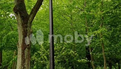 г Калининград, ул Полковника Ефремова 1, 829db832-524d-4bb2-bf21-72743413ff76.jpg