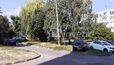 Фото: 832c37d3-7eb1-4576-acdd-37dd0105ef96.jpg