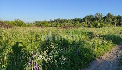 поселок Рыбное, ул Грибная , 83d835ca-234e-4cb8-a68f-f2993d3e6725.jpg