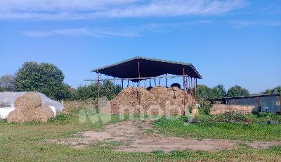 Раздольное посёлок,  1, 8481fff3-8fad-4a86-a72b-be5a746e3ac7.jpg