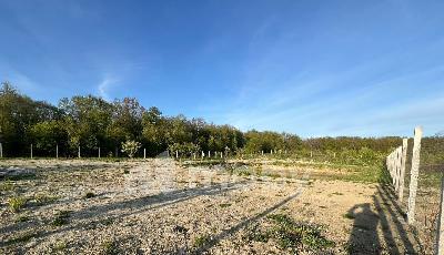 поселок Нивенское, ул Яблочная , 84c24af4-f09b-49a1-b559-4db627712e62.jpg