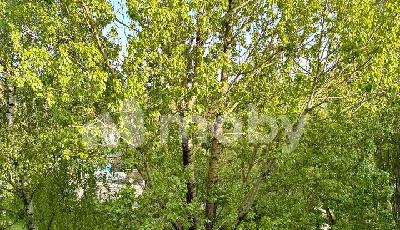г Калининград, ул Маршала Борзова 68, 865c1e5e-ffa2-46d4-8668-d0815a4d0146.jpg