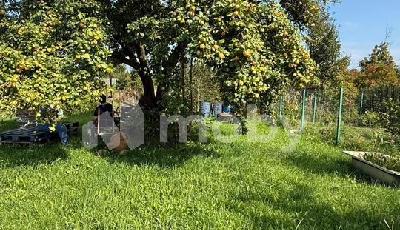 г Пионерский,  , 872dd0df-7dc7-4c39-bb79-9e89b45ea5f1.jpg