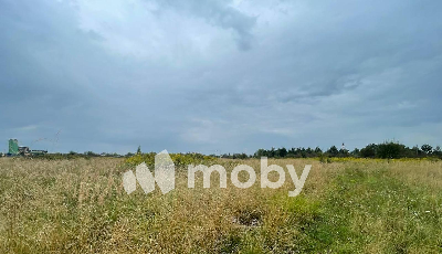 поселок Малое Лесное,  , 8788835f-c2df-4bc2-a233-b61a2c93c9ce.png