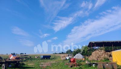 Раздольное посёлок,  1, 8824616e-0a02-4378-ae5c-d49e36846c8b.jpg