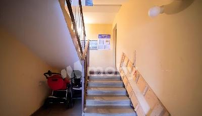 Фото: 888d18ff-690a-4d19-8ffc-f28a1e2728cf.jpg