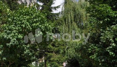 г Калининград, ул Полковника Ефремова 1, 89163443-fc07-4910-b1f1-a27bd9f446c9.jpg