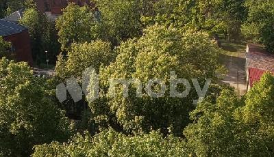 г Калининград, Московский проспект 131, 898050ce-3ca5-4249-8b7c-64ea4be44993.jpg
