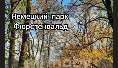 г Калининград, ул Маршала Борзова 92, 89ace631-efa2-4b21-9c10-e7abc1fc9af0.jpg