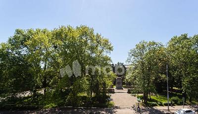Фото: 8a85b041-2383-4439-a456-9edd1c1d8503.jpg