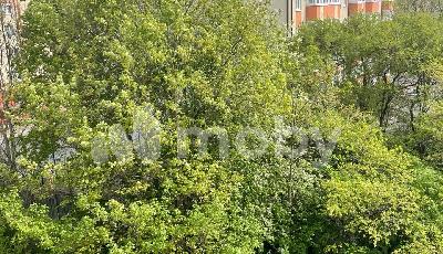 Фото: 8f085462-7d0a-42ee-aceb-7f73ff36945c.jpg
