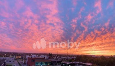 Фото: 8f262d7f-751b-46ad-9d8d-f1dd0897973f.jpg