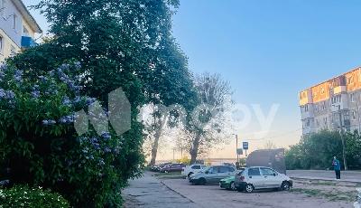 Фото: 92bd619c-1bd2-4b3c-8d78-ea4791457d76.jpg