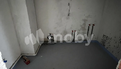 г Светлогорск, ул Ольховая 19, 956c02db-ed13-4ef5-83ab-cc39525f7ec5.png