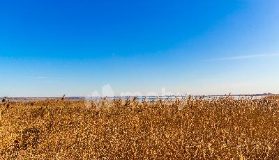 г Калининград, ул Воскресенская 4а, 959bfae4-5157-4ba7-94c8-ec0f9fd981f5.jpg