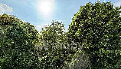 г Калининград, ул Знойная 5, 97a61dc2-113e-44b1-a1f9-b6917a4f746e.jpg