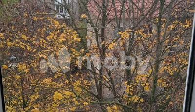 г Калининград, ул Дзержинского 106Д, 97e96c52-d382-43a7-a317-b8fdb083d66d.jpg