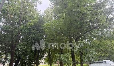 г Калининград, ул Фрунзе 52, 9acfe32e-f0c7-4163-80e3-431bf19906d7.jpg