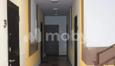 Фото: 9bb254f9-1448-4504-89f6-77587f70536a.png